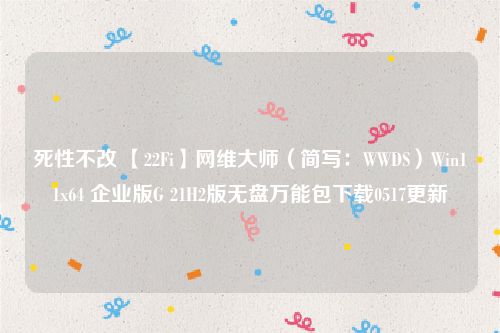 死性不改 【22Fi】网维大师（简写：WWDS）Win11x64 企业版G 21H2版无盘万能包下载0517更新