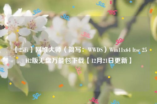 【25Fi】网维大师（简写：WWDS）Win11x64 ltsc 25H2版无盘万能包下载【12月21日更新】